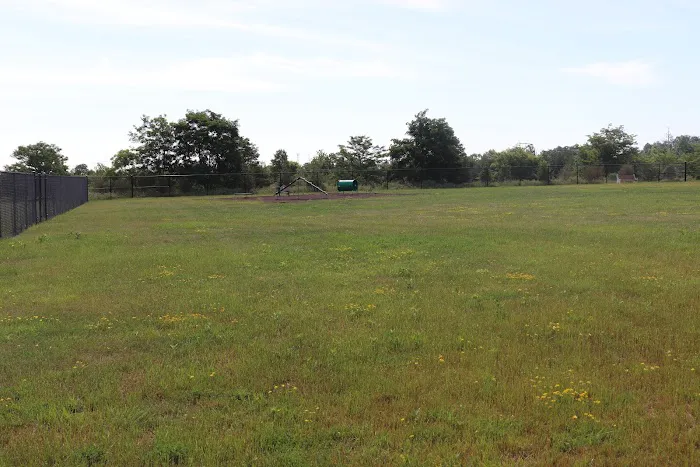 Knapp Road Bark Park 8