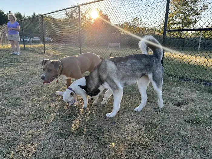 Knapp Road Bark Park 10