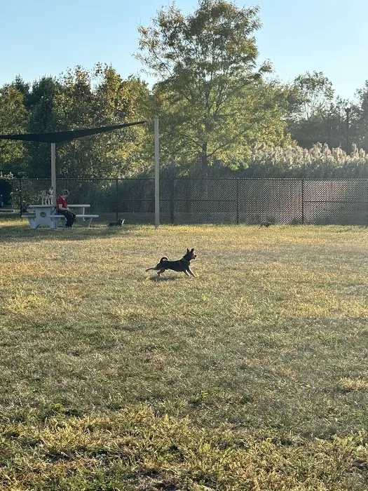 Knapp Road Bark Park 4