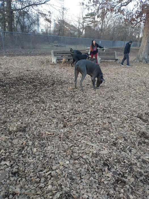Montgomery Township Bark Park 7