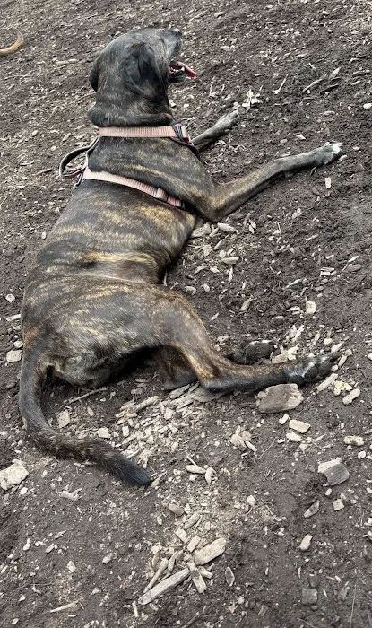 Montgomery Township Bark Park 1