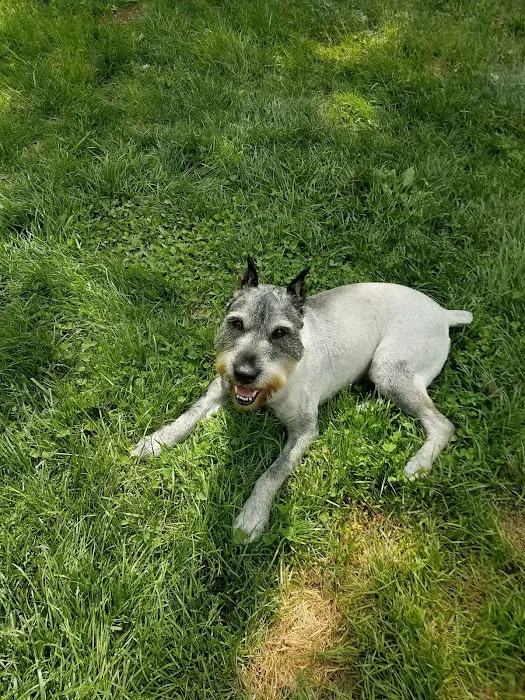 Montgomery Township Bark Park 9