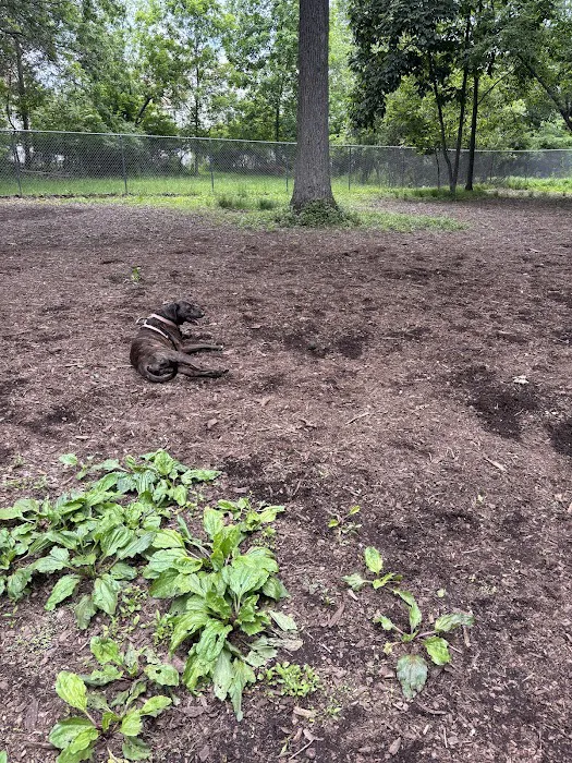 Montgomery Township Bark Park 2