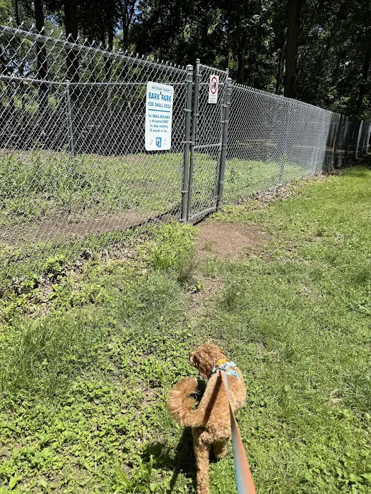 Montgomery Township Bark Park 5