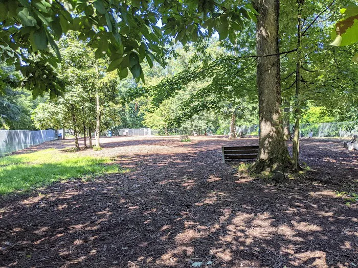 Montgomery Township Bark Park 10