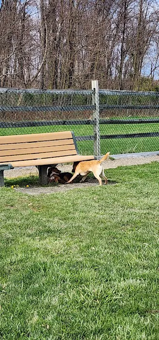 Whitpain Dog Park (member required) 9