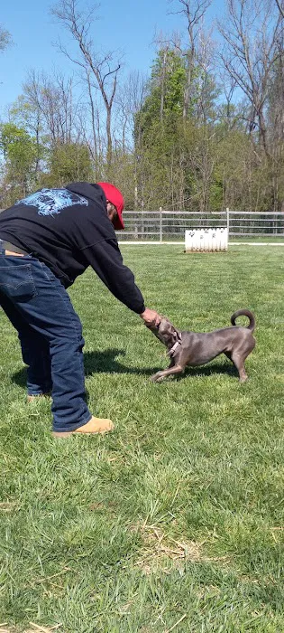 Whitpain Dog Park (member required) 6