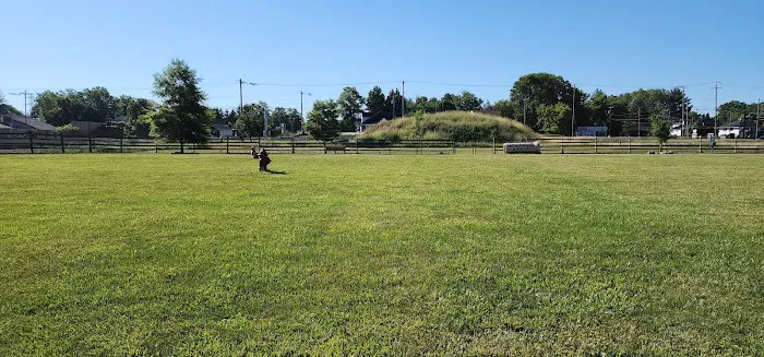 Whitpain Dog Park (member required) 7