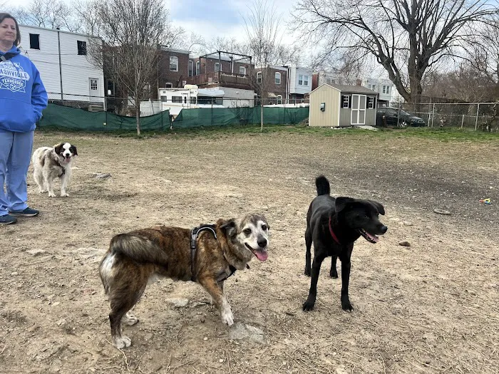 Roxborough Dog Park 5