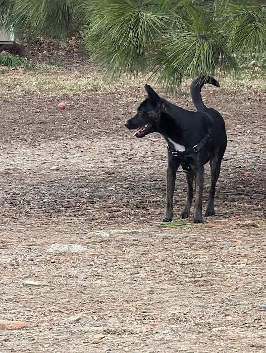 Roxborough Dog Park 6