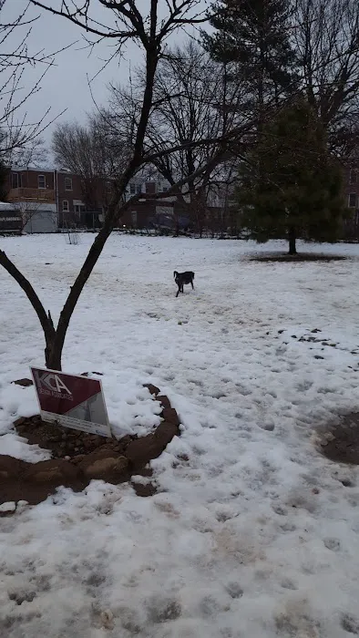 Roxborough Dog Park 7