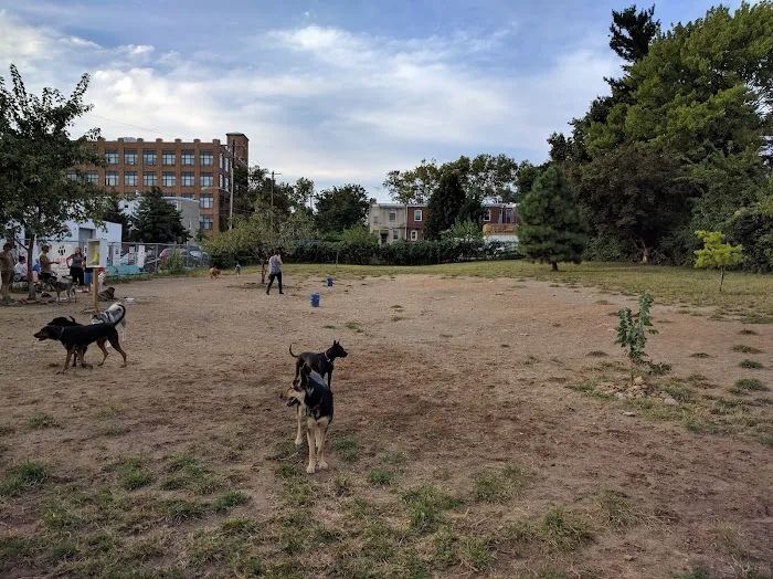 Roxborough Dog Park 9