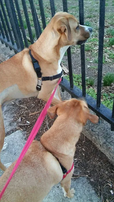 Roxborough Dog Park 4