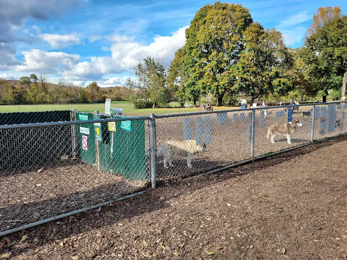 Candlewoof Dog Park 7
