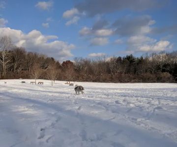 Southbury Dog Park