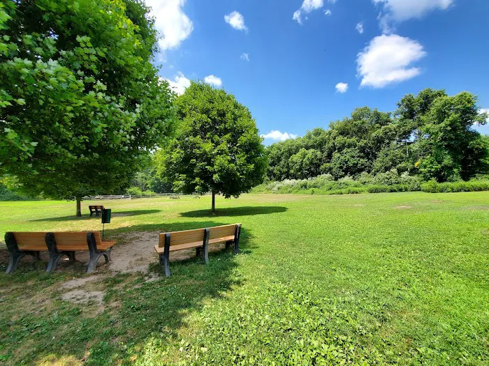 Southbury Dog Park 6