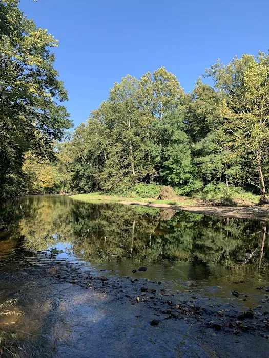 Southbury Dog Park 2