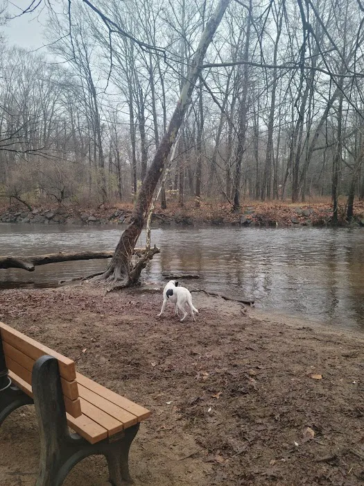 Southbury Dog Park 5