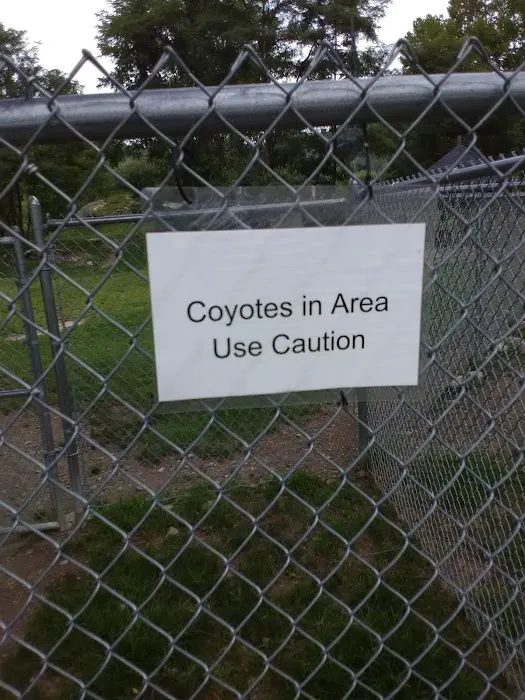 Doherty Park Field 9