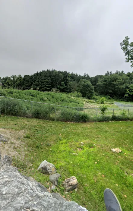 Doherty Park Field 1