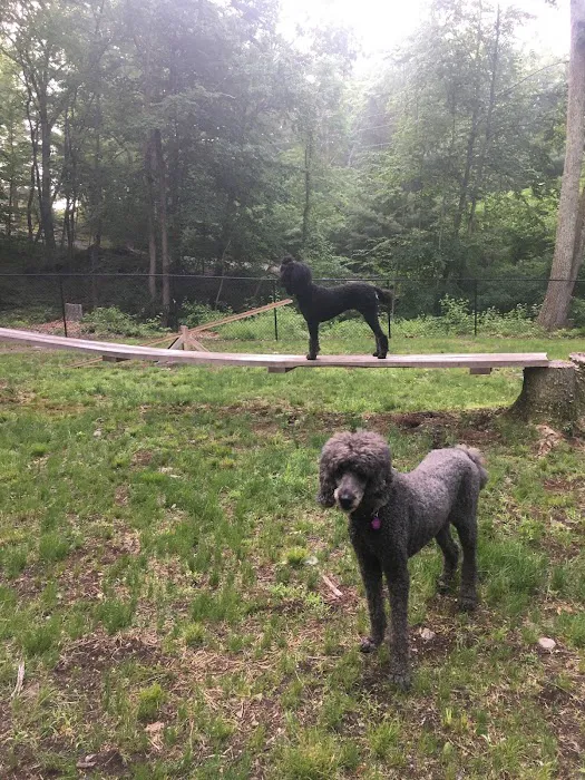 Downback Dog Park ( Members only by appointment! ) 8