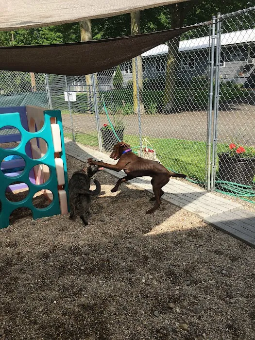 Downback Dog Park ( Members only by appointment! ) 5