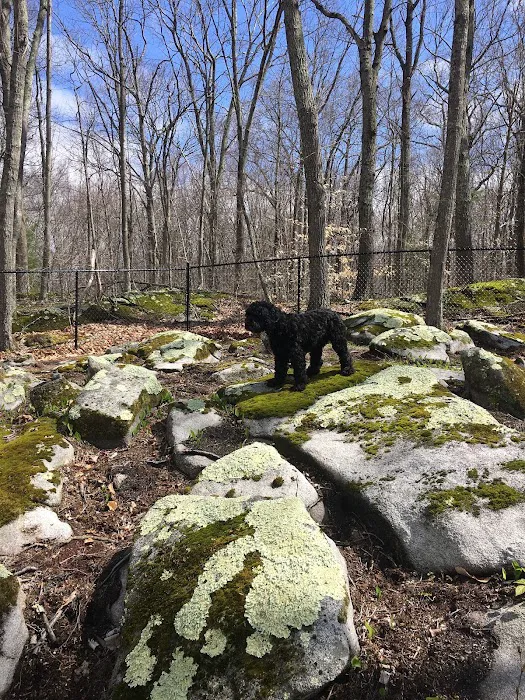 Downback Dog Park ( Members only by appointment! ) 3