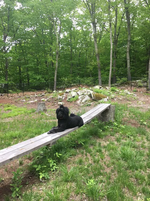 Downback Dog Park ( Members only by appointment! ) 1