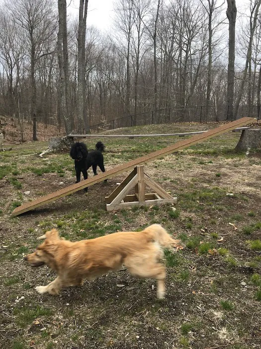Downback Dog Park ( Members only by appointment! ) 7