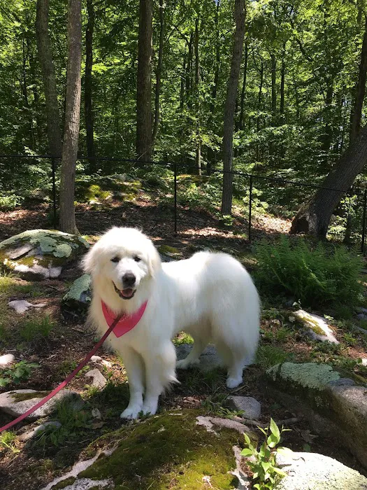 Downback Dog Park ( Members only by appointment! ) 4