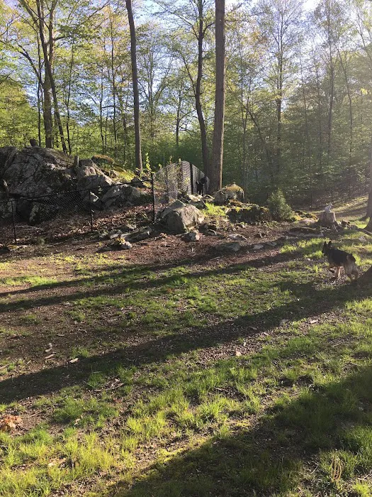 Downback Dog Park ( Members only by appointment! ) 6