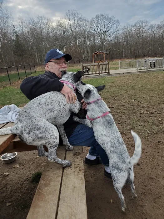 Andrew Mountain Park - Naugatuck Dog Park & Disk Golf Course 4
