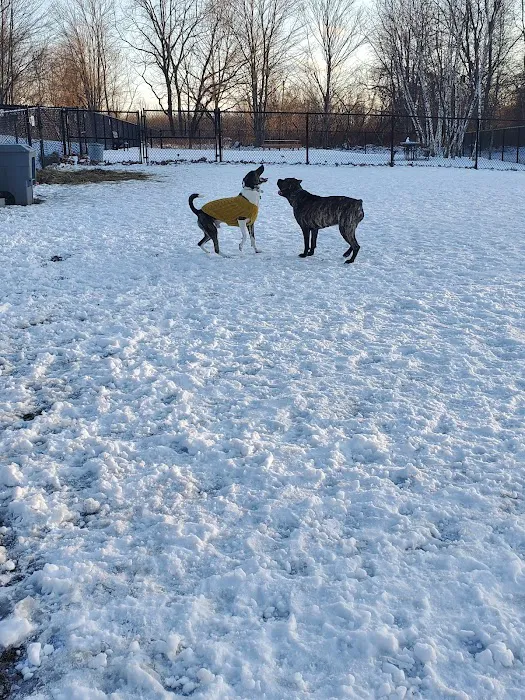 Andrew Mountain Park - Naugatuck Dog Park & Disk Golf Course 3
