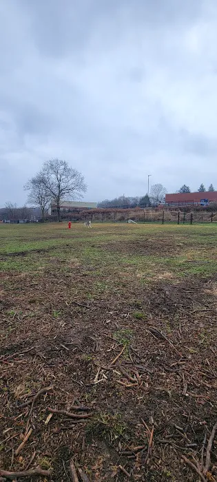Watertown Dog Park 5