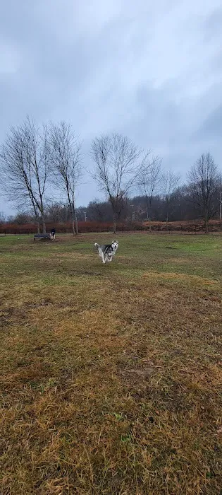 Watertown Dog Park 2