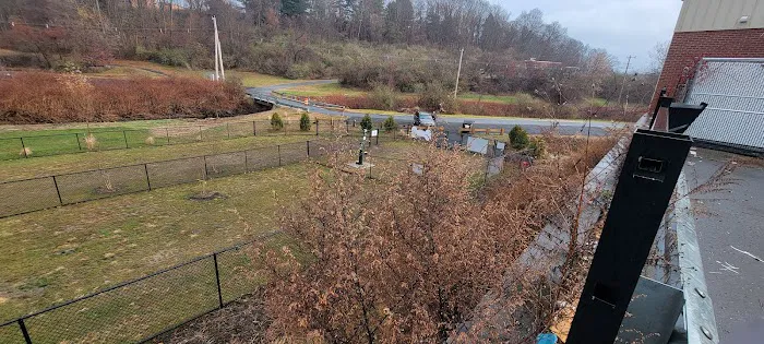 Watertown Dog Park 3