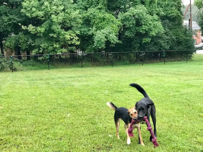 Friends of Beacon Dog Park 1
