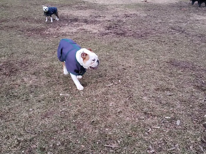 Friends of Beacon Dog Park 3