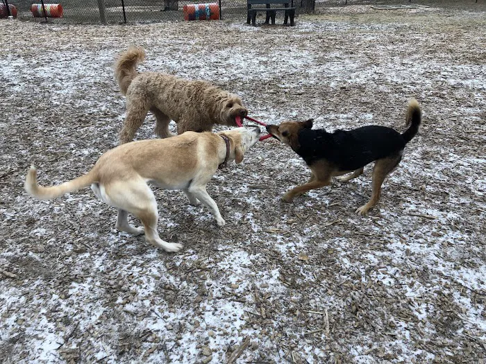 Friends of Beacon Dog Park 4