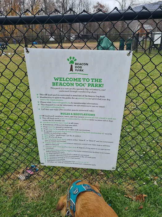 Friends of Beacon Dog Park 10