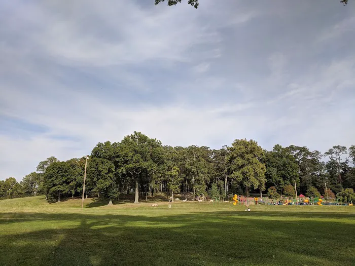 Friends of Beacon Dog Park 7
