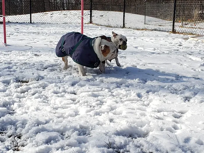Friends of Beacon Dog Park 6