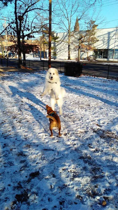 Union Street Dog Park 9