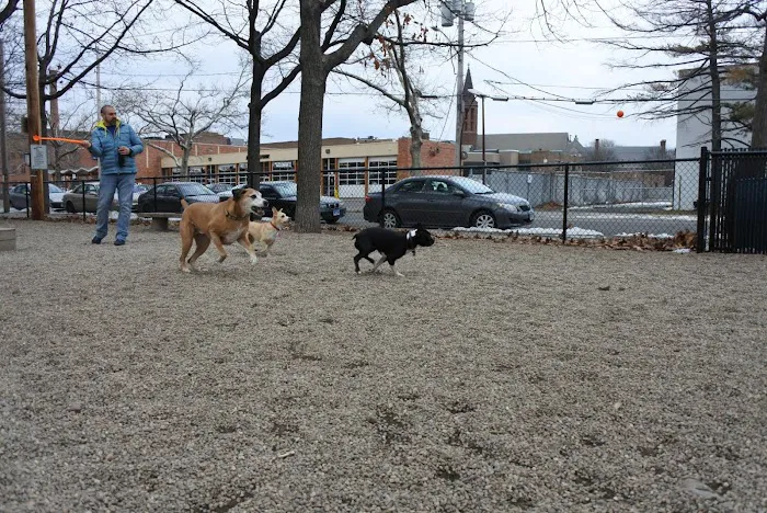 Union Street Dog Park 10