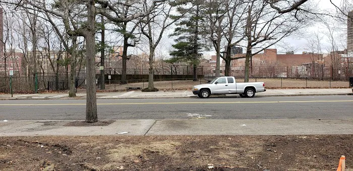 Union Street Dog Park 7