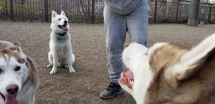 Union Street Dog Park 4