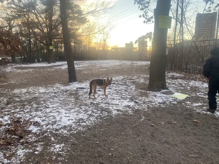 Dog Park 3