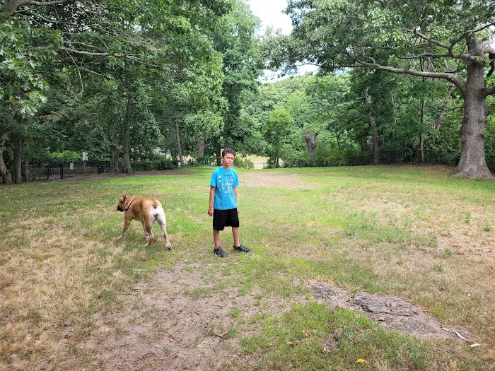 Dog Park 1