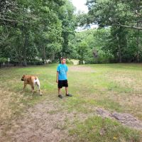 Dog Park ico
