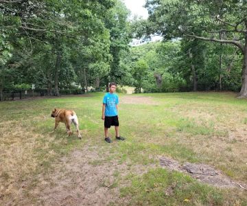 Dog Park